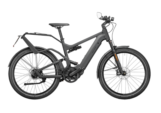 RM Delite GT rohloff HS HE51 cm '23 сив електрически велосипед (625Wh, Nyon, Rack)