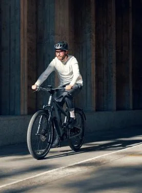 RM Delite GT rohloff HS HE56 cm '22 szürke színű elektromos kerékpár (Extrák: Nyon, 625Wh)